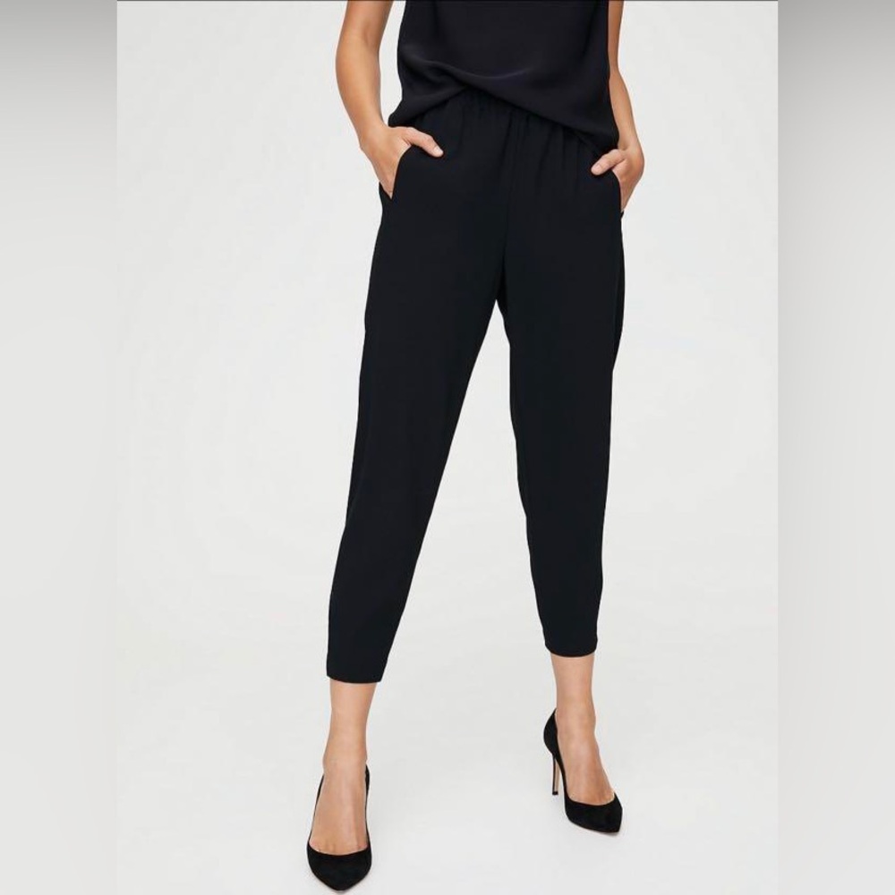 Aritzia Babaton Dexter Pants